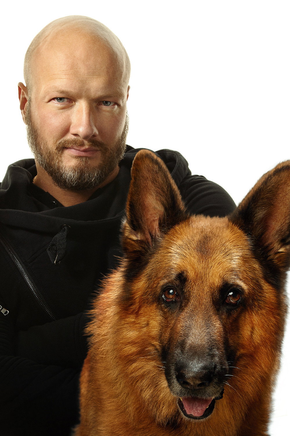 Dog poster