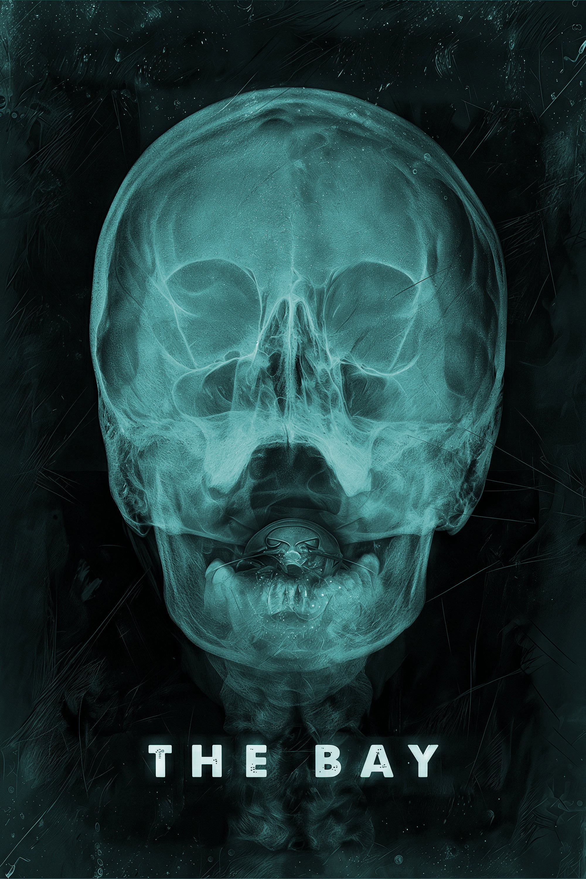 The Bay poster