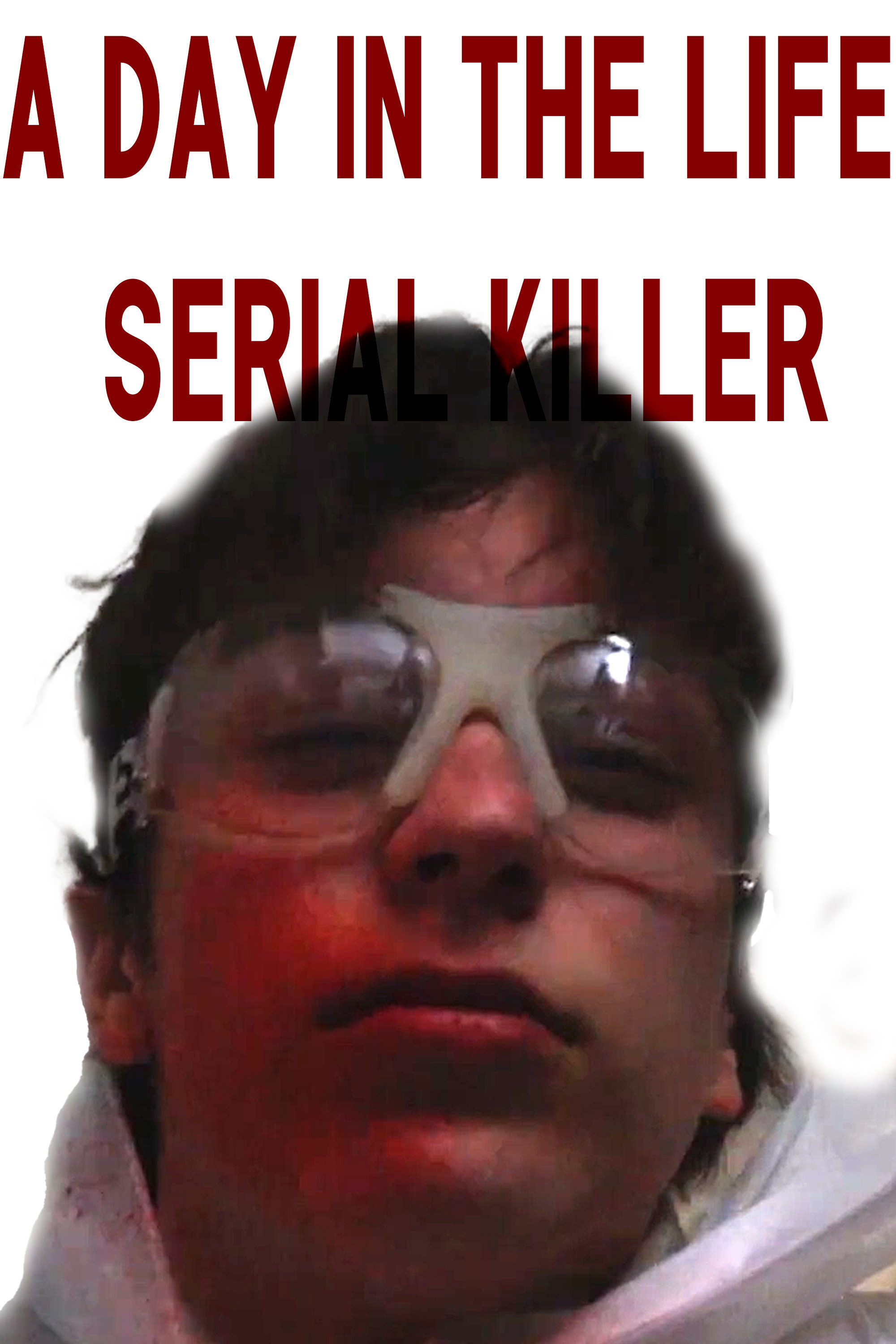 A Day in The Life: Serial Killer poster