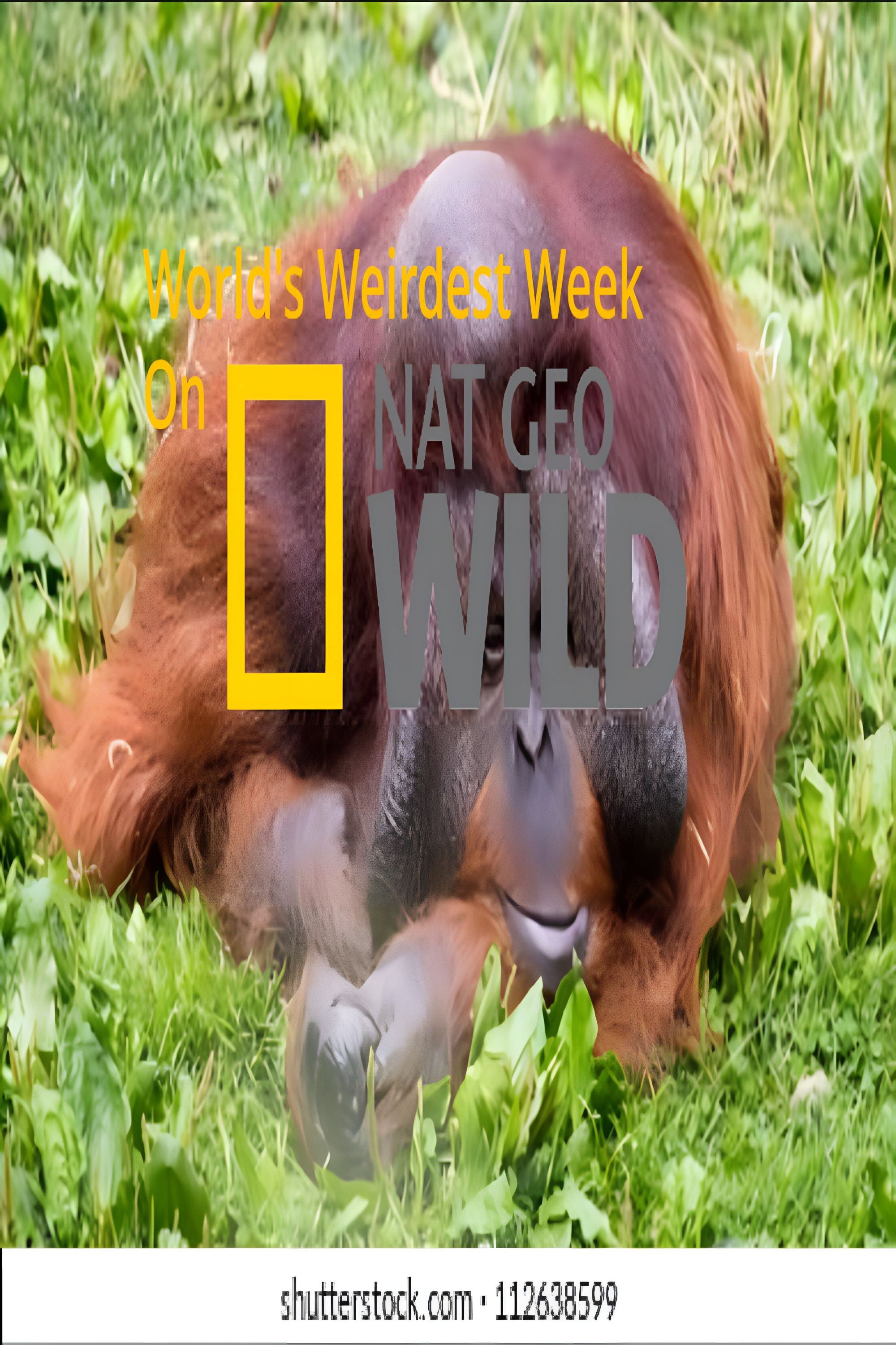 World's Weirdest Week poster