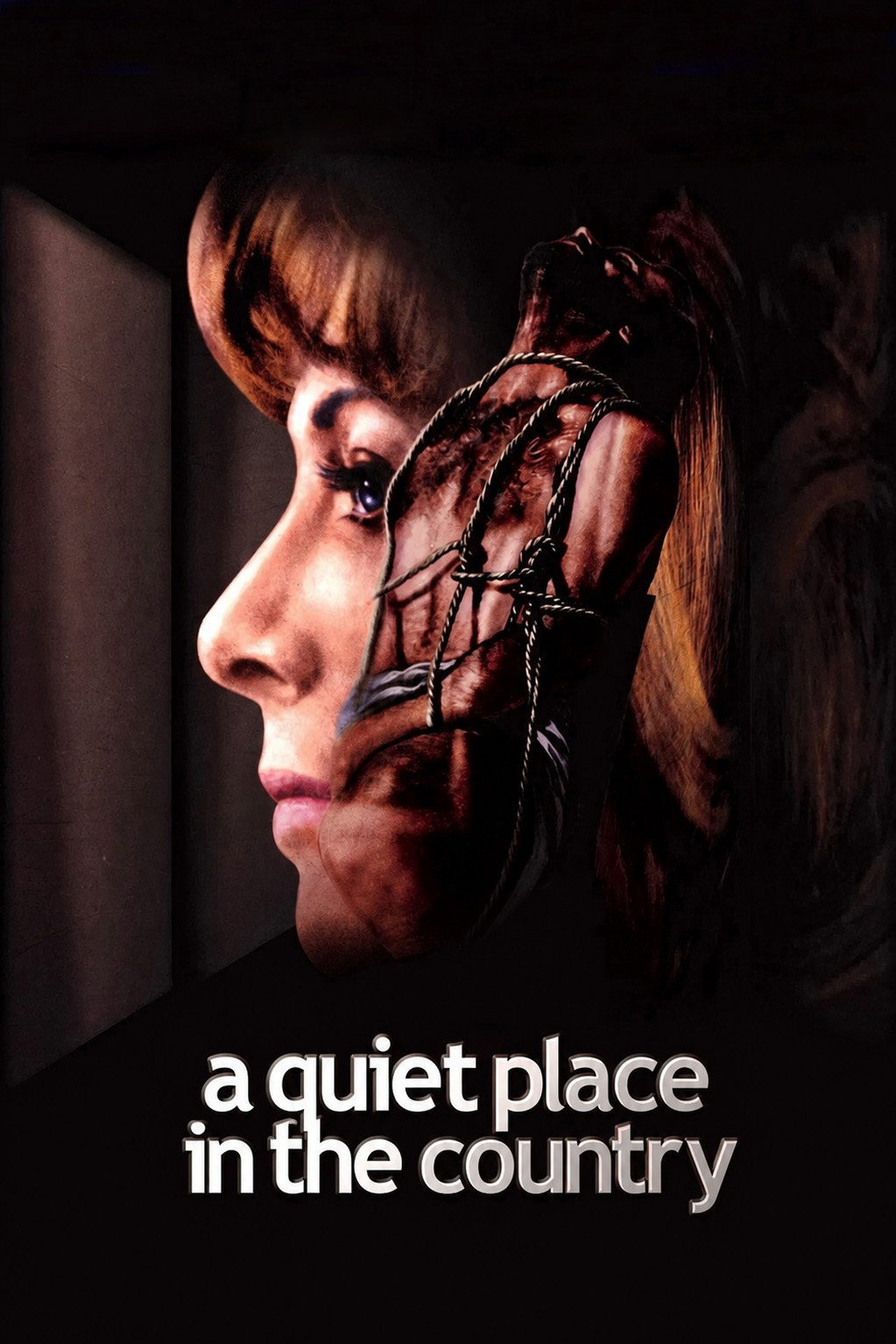 A Quiet Place in the Country poster