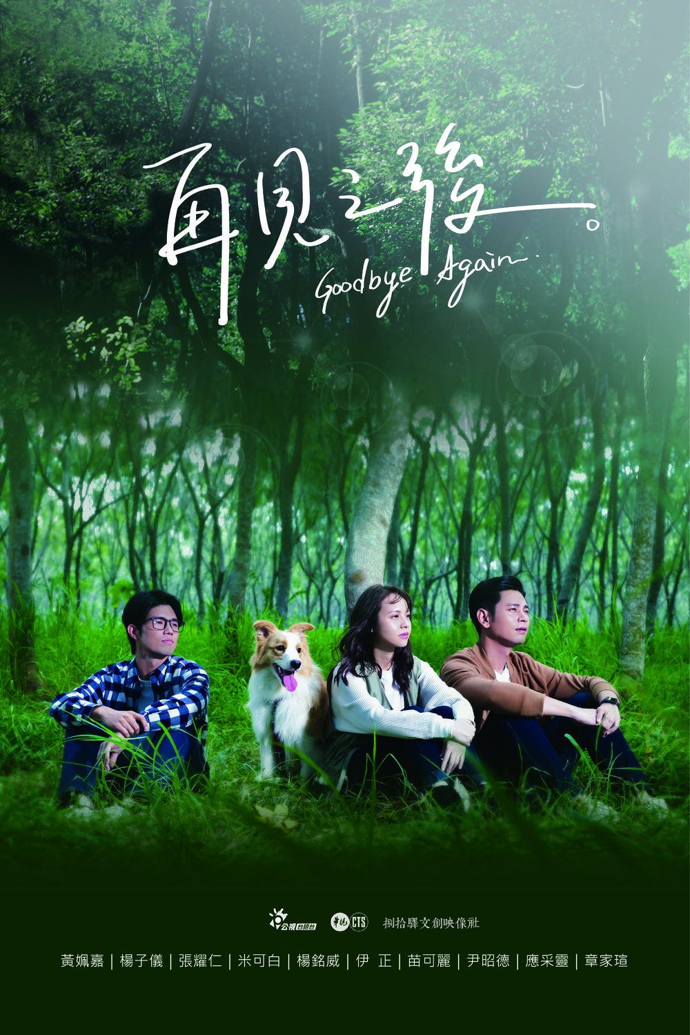 Goodbye Again poster