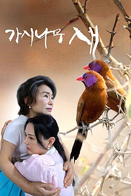 가시나무새 poster
