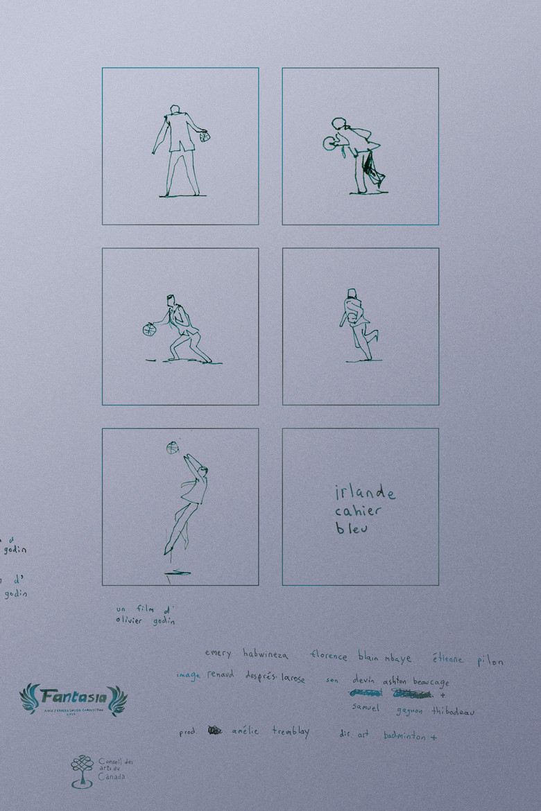irlande cahier bleu poster