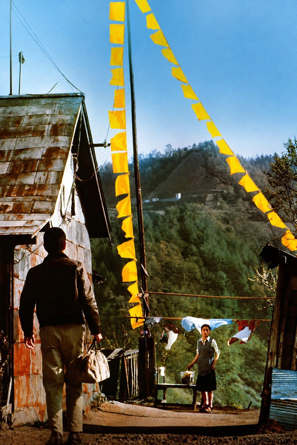 The Yellow Handkerchief poster
