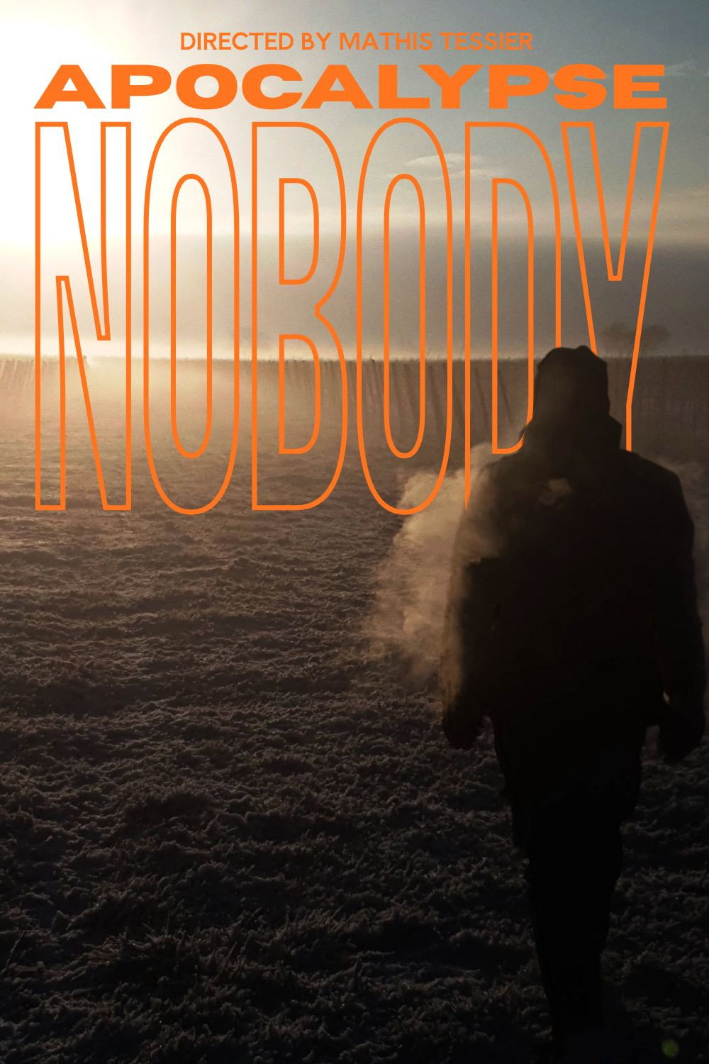 Apocalypse Nobody poster