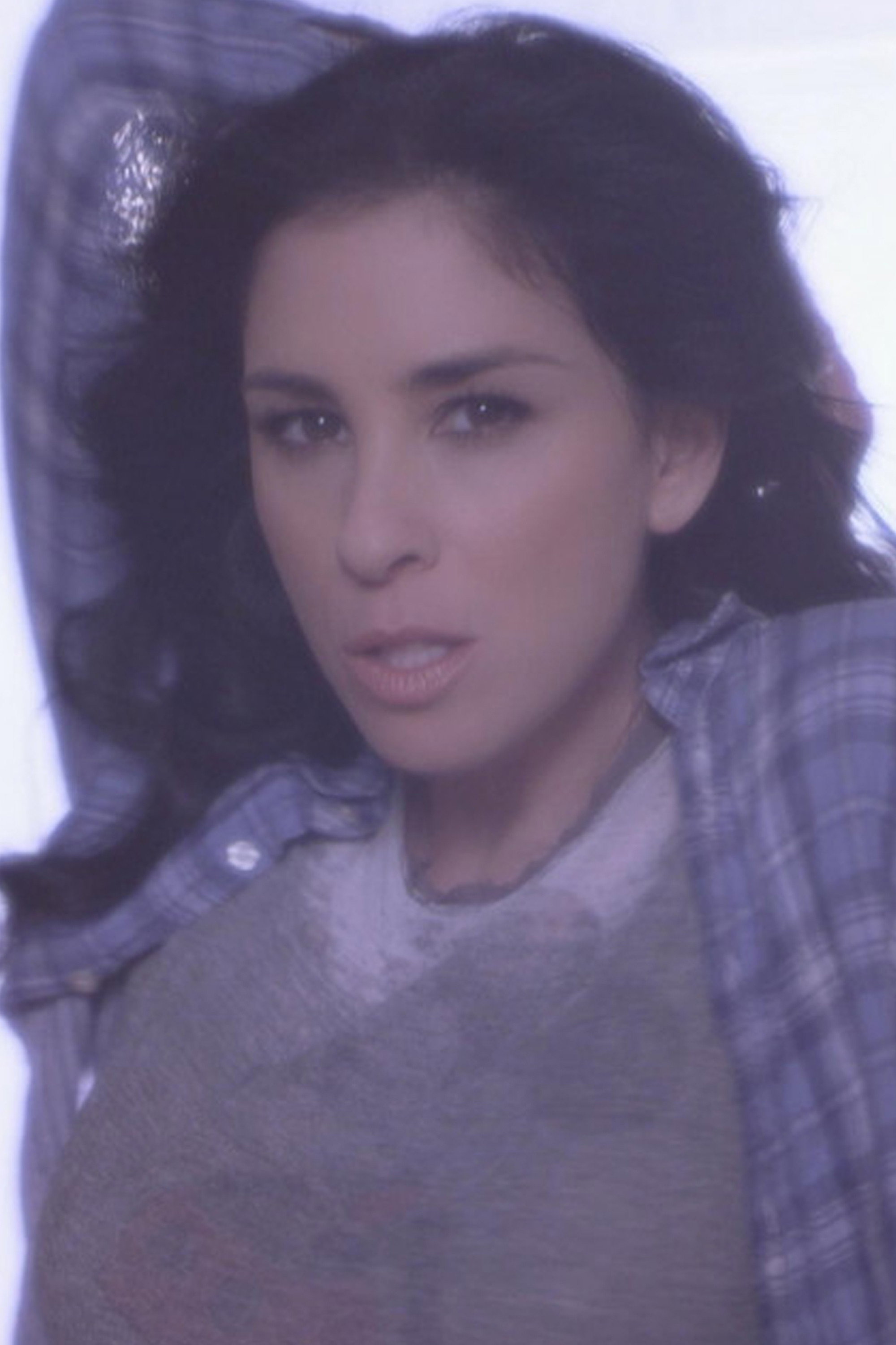Sarah Silverman's Perfect Night poster