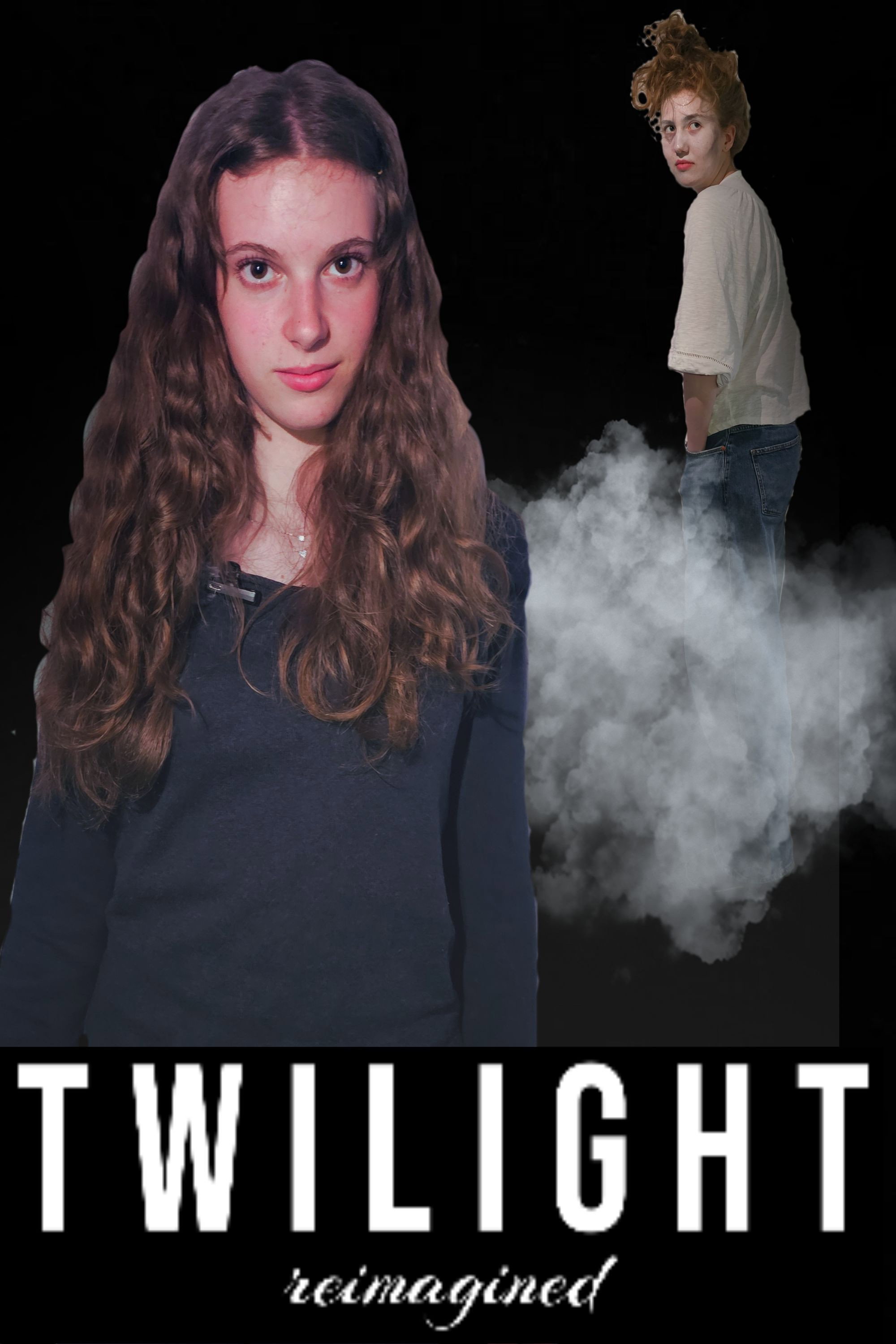 Twilight: reimagined poster