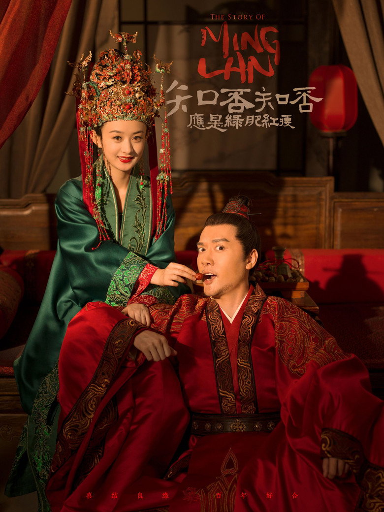 知否知否应是绿肥红瘦(DVD版) poster
