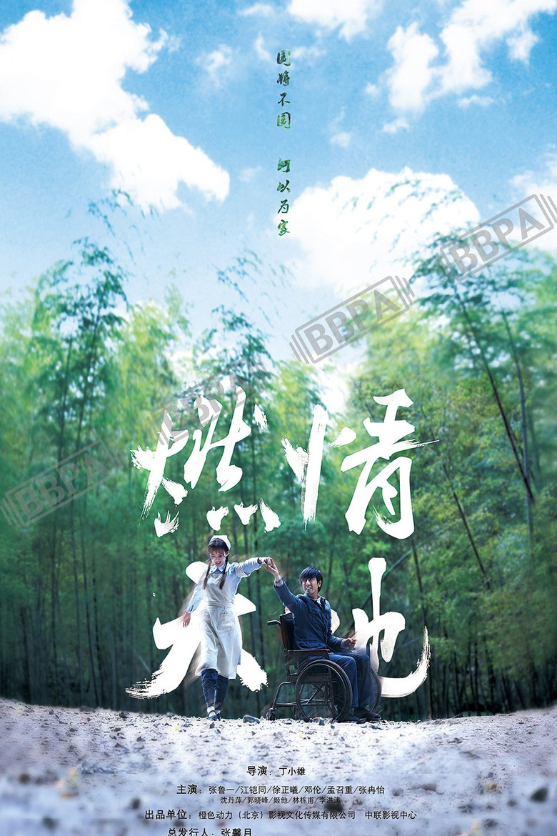 燃情大地 poster