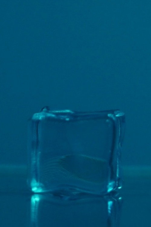 The shape of dead ICE poster