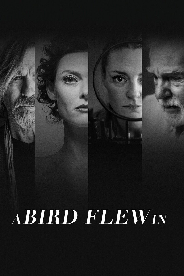 A Bird Flew In poster