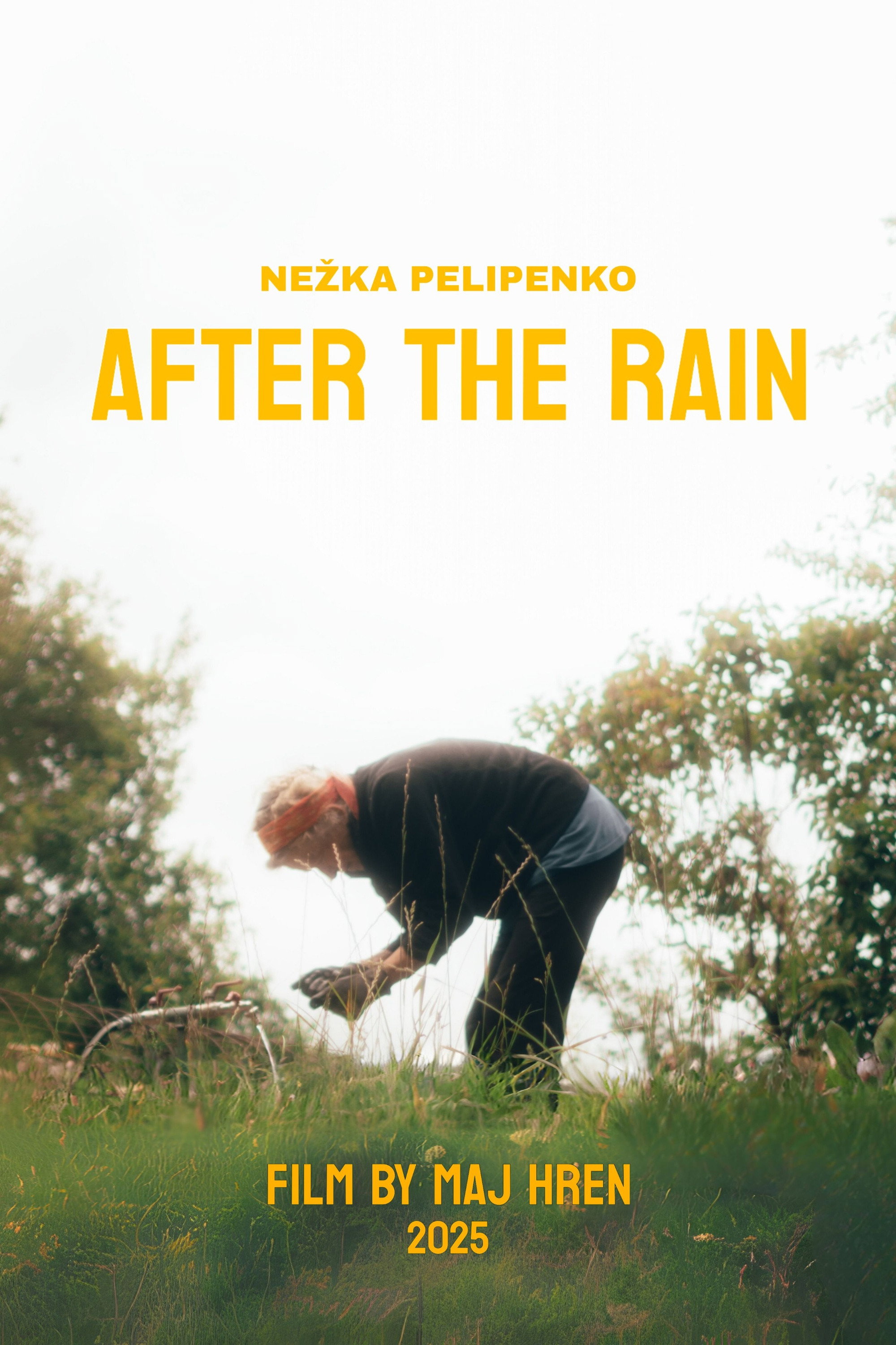 After The Rain poster