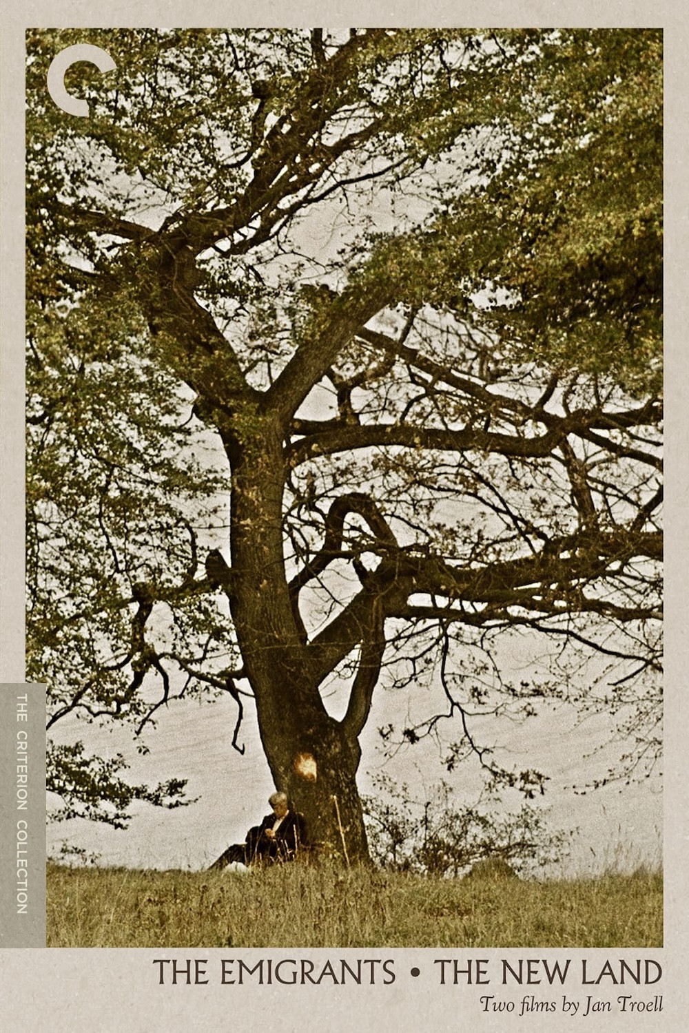 The New Land poster