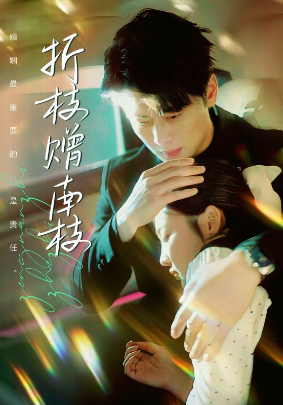 折枝赠南枝 poster