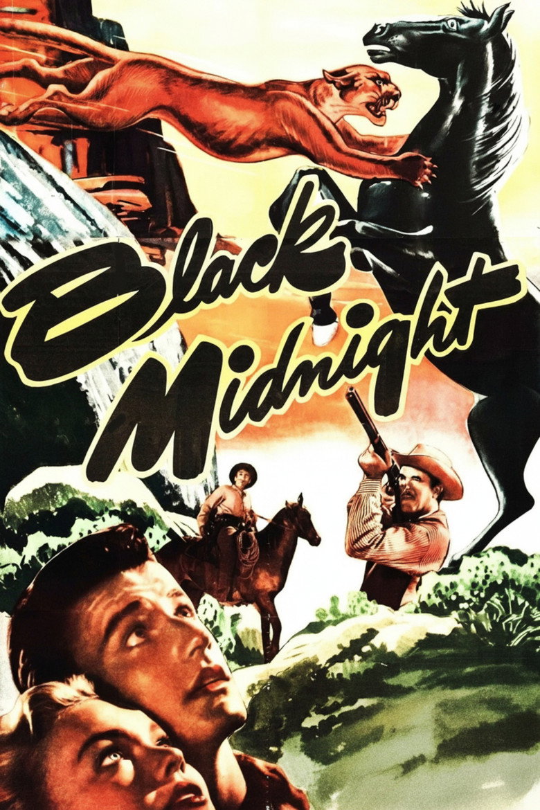 Black Midnight poster