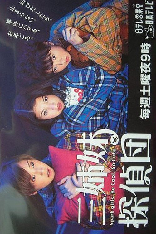 Three Sisters Investigate poster