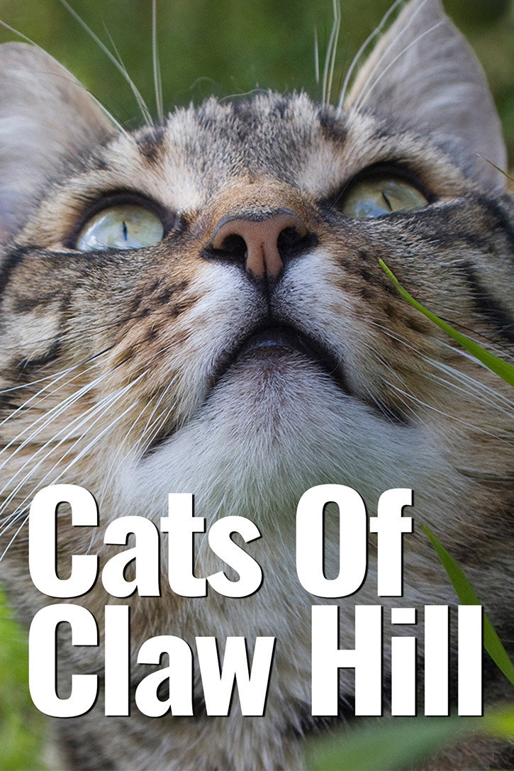 Cats of Claw Hill poster