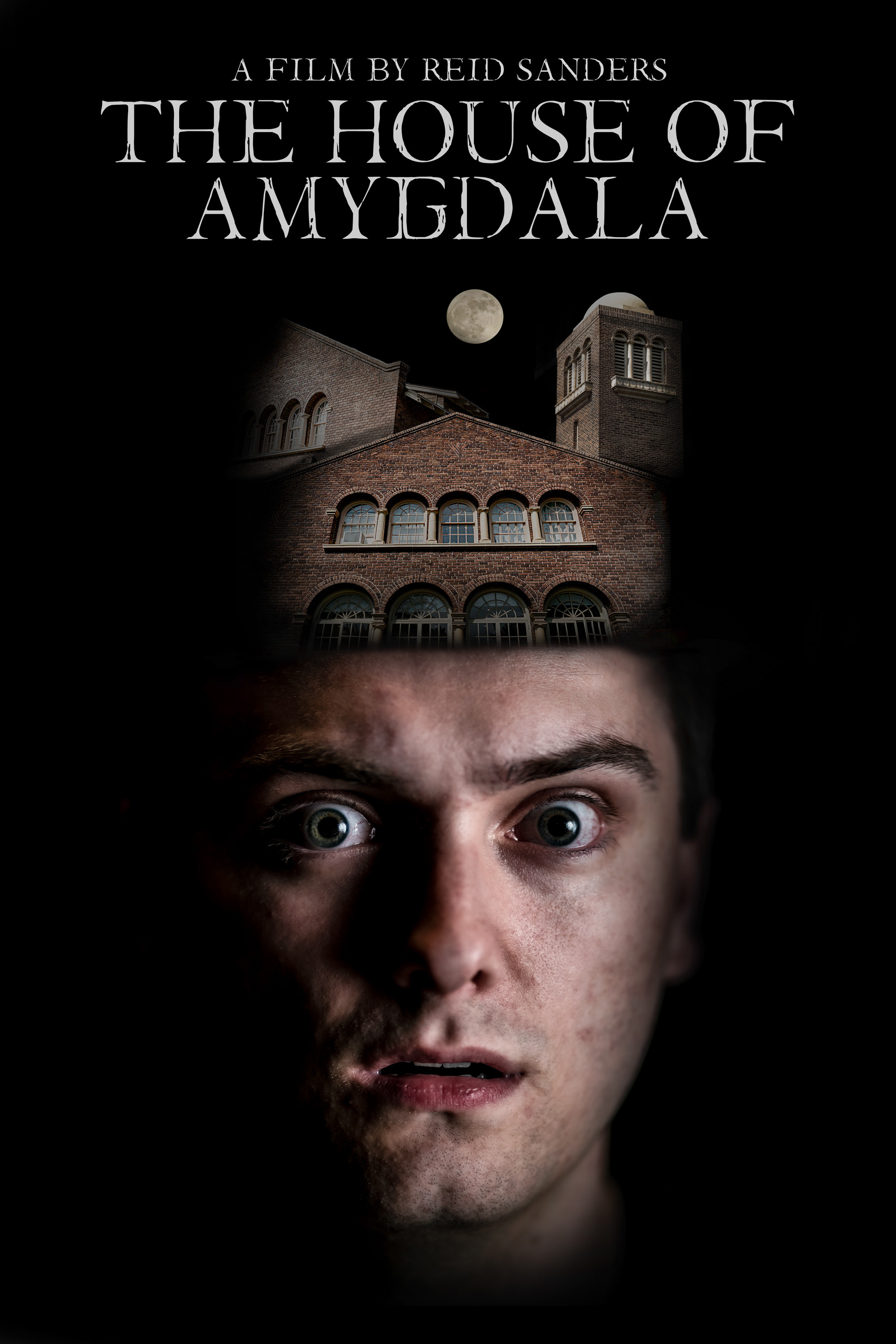 The House of Amygdala poster