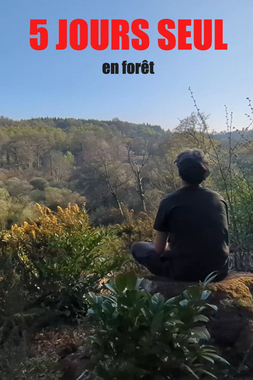 5 jours seul en forêt poster