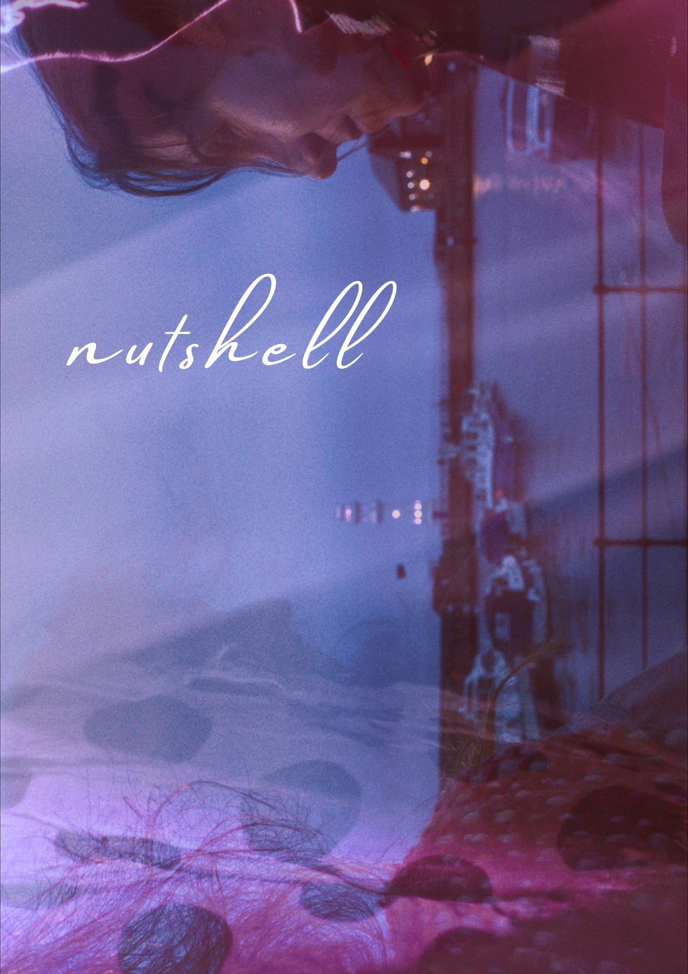 nutshell poster