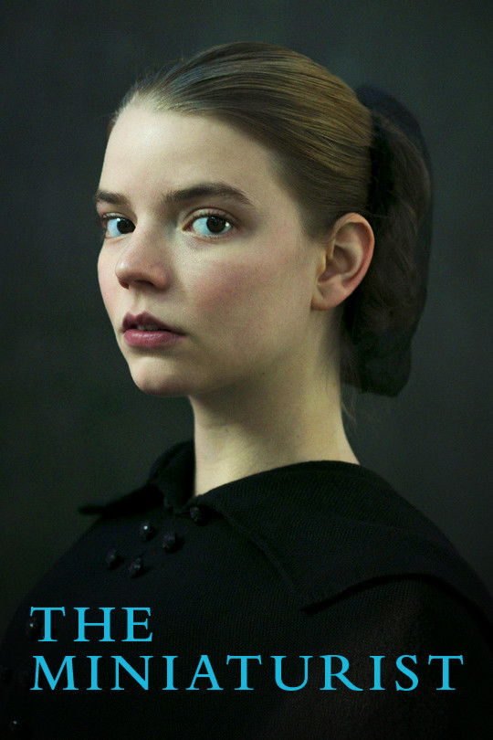 The Miniaturist poster