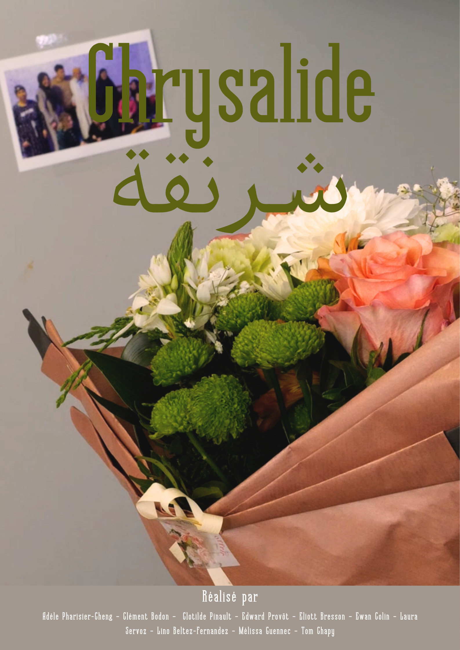 Chrysalide poster