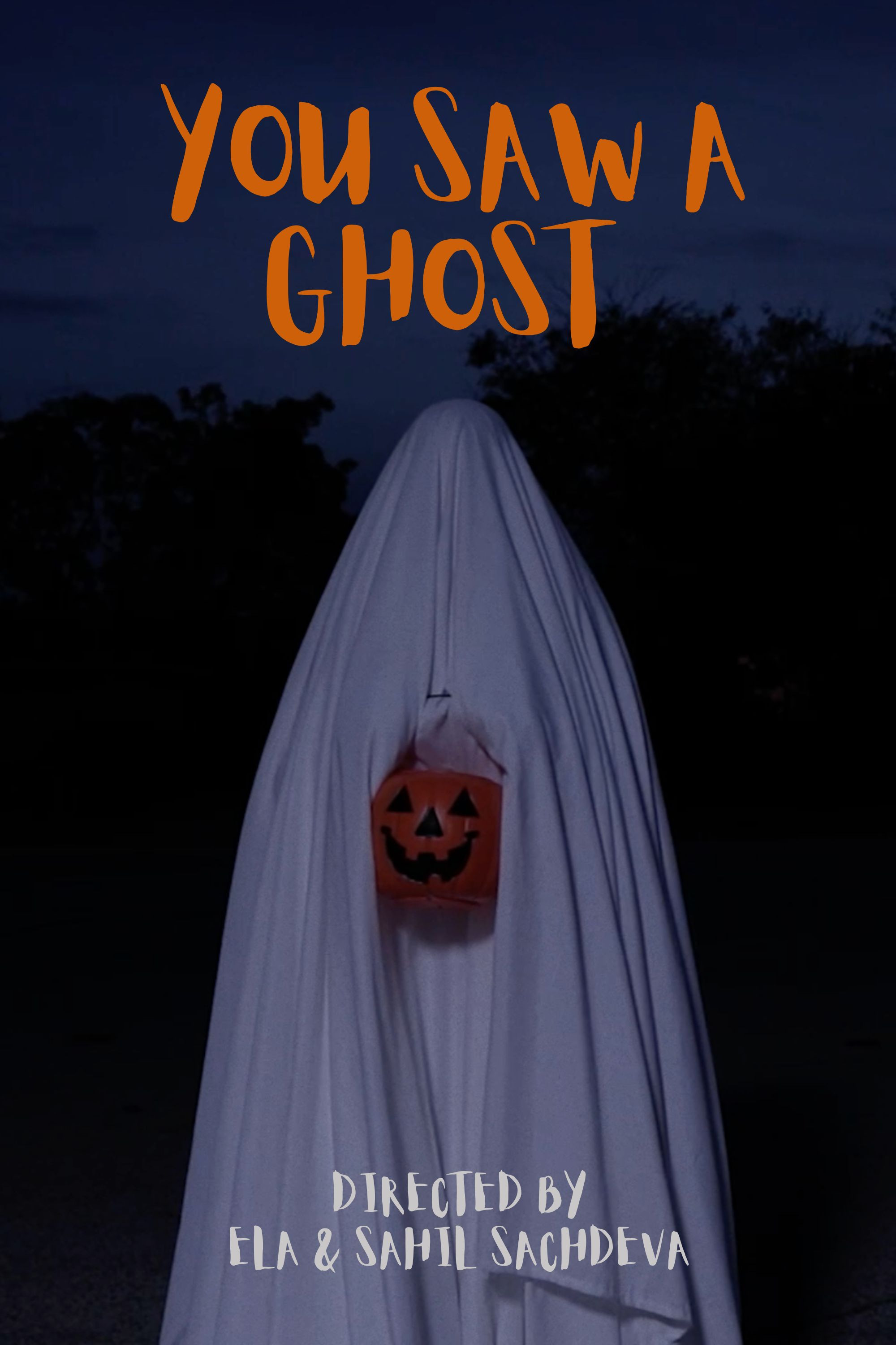You Saw a Ghost poster