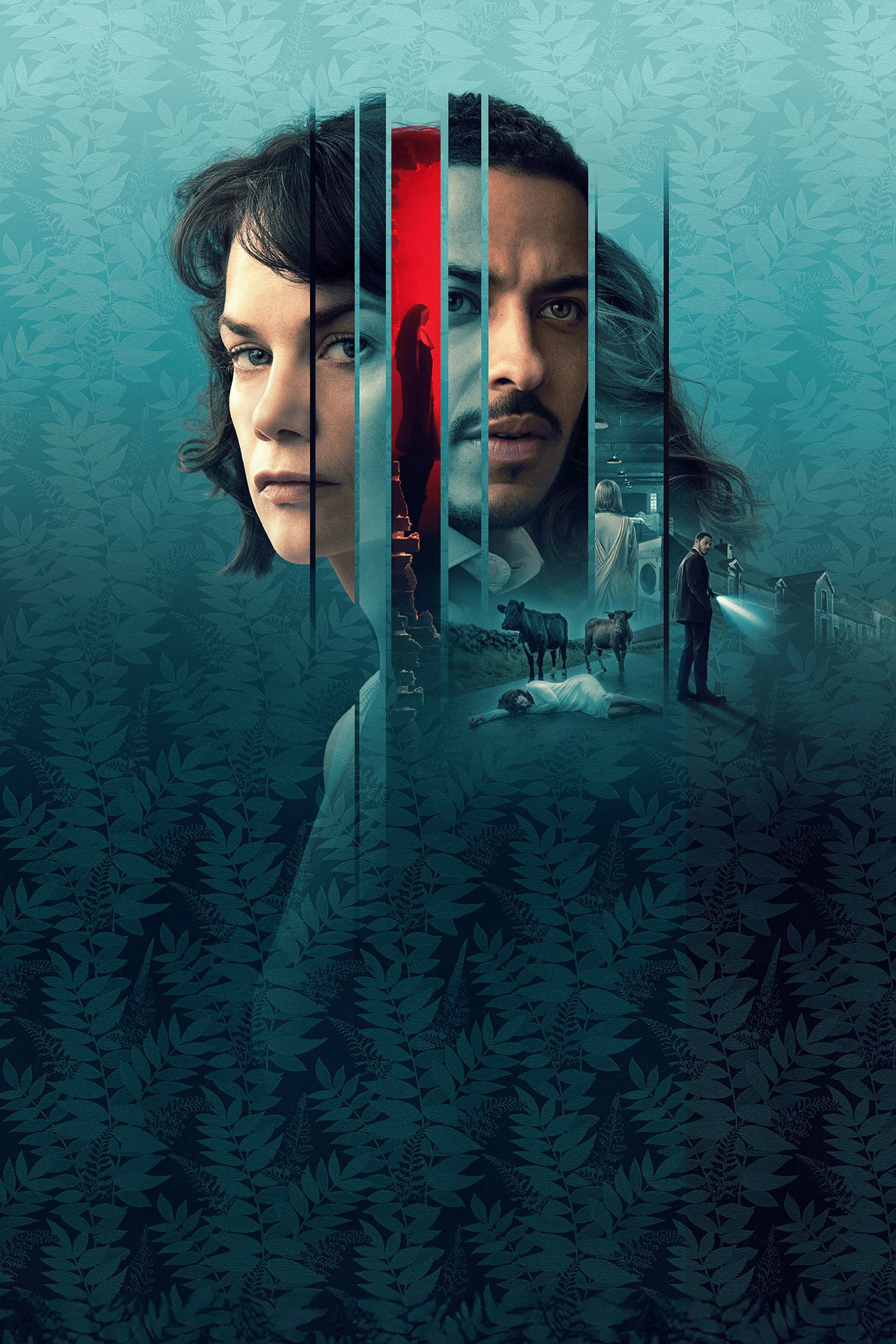 The Woman in the Wall poster
