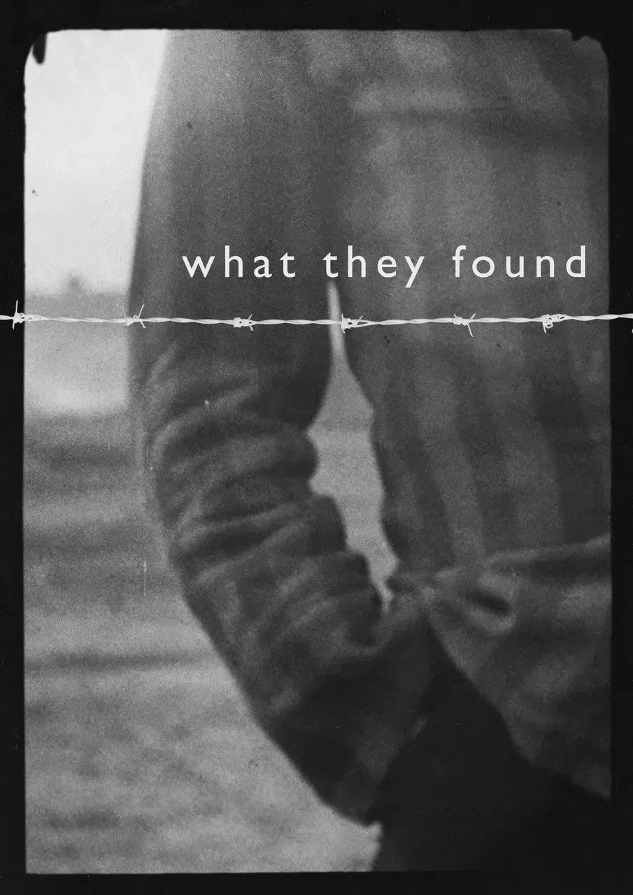 What They Found poster