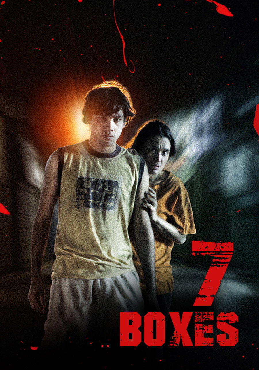 7 Boxes poster