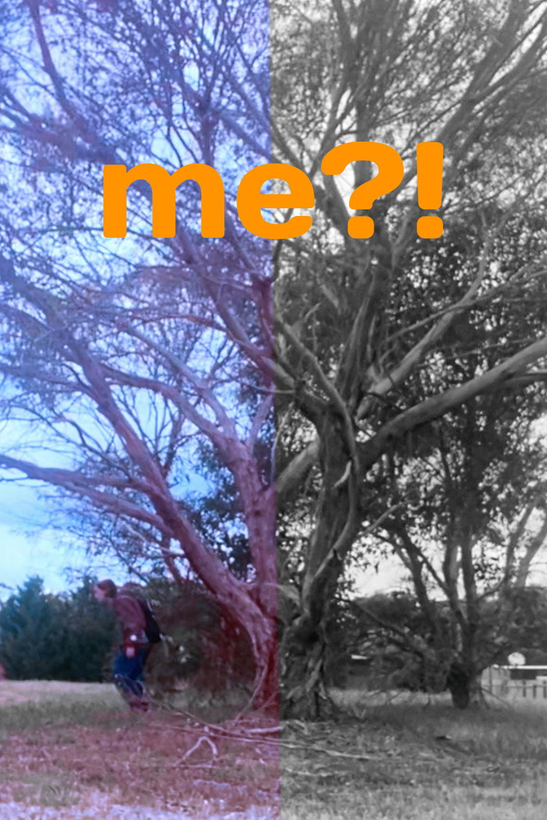 me?! poster