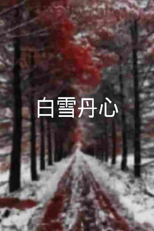 白雪丹心 poster