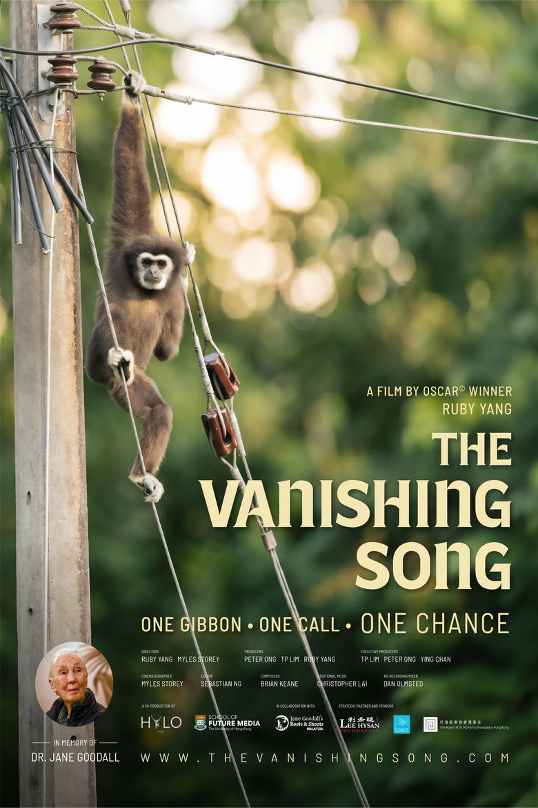 The Vanishing Song poster