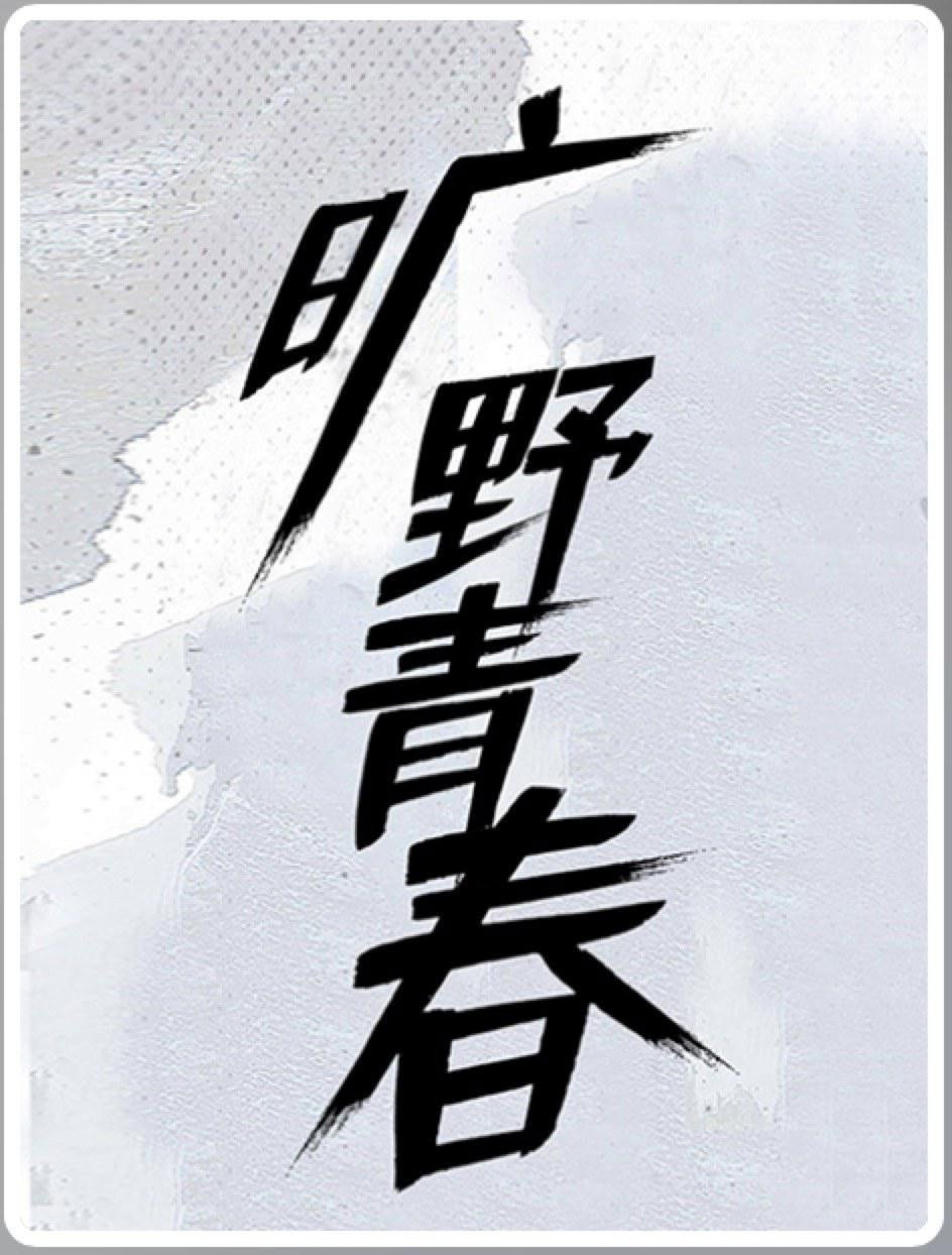 旷野青春 poster