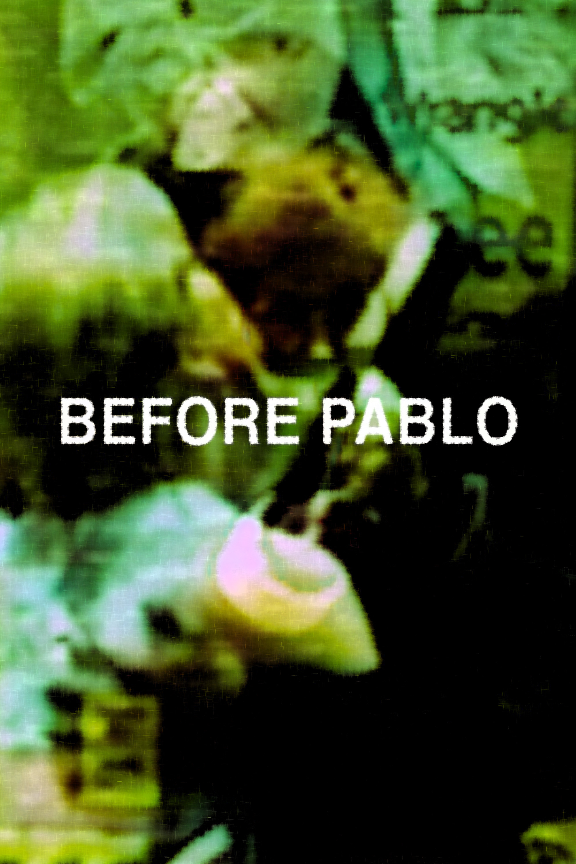 before Pablo poster