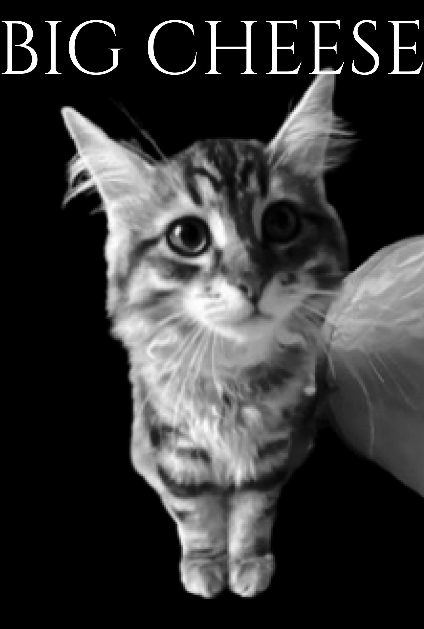 The Fluffster: Part 6: Big Cheese poster