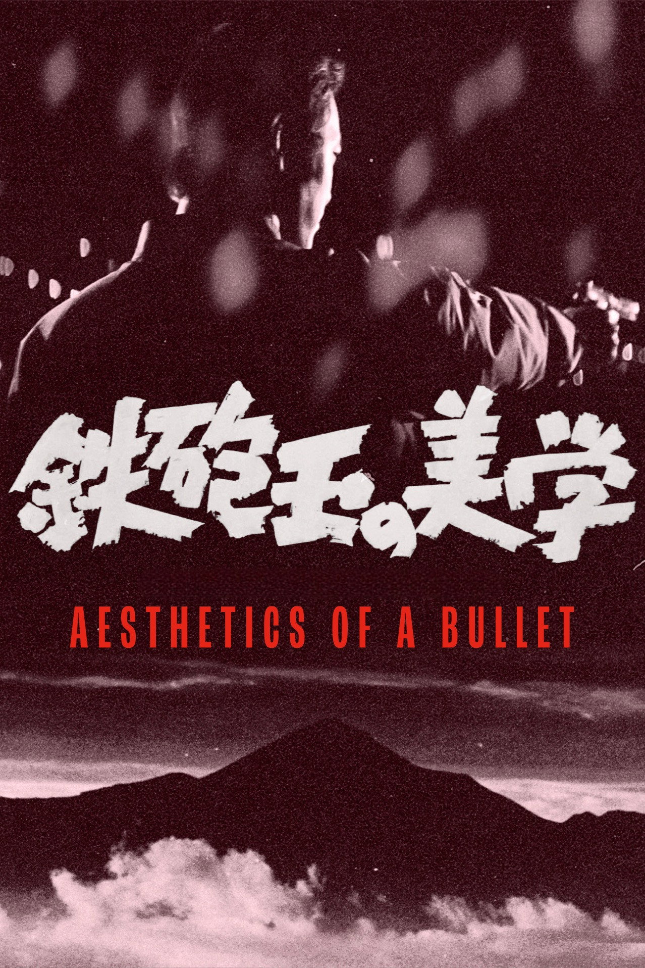 Aesthetics of a Bullet poster