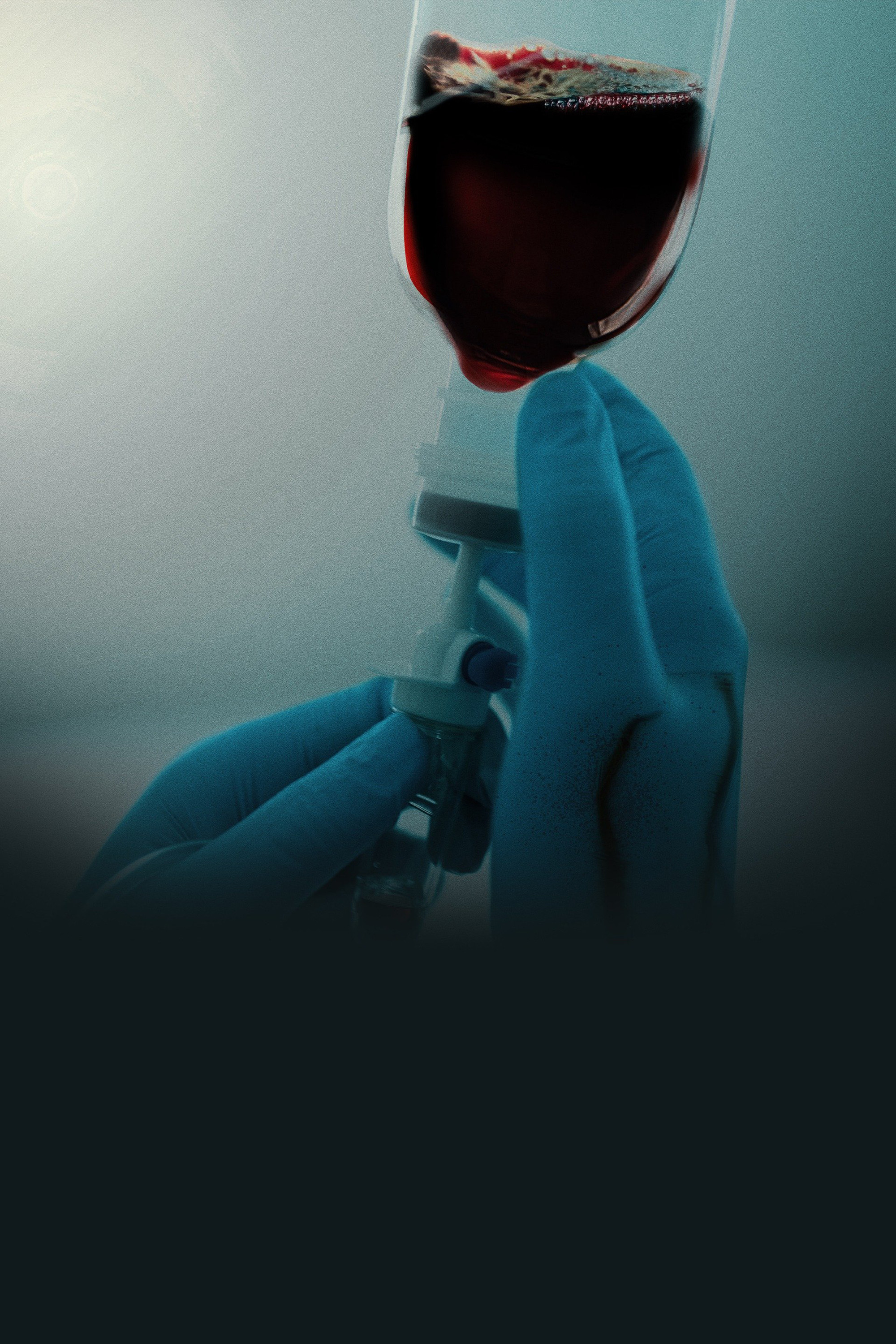 A Nurse to Die For poster