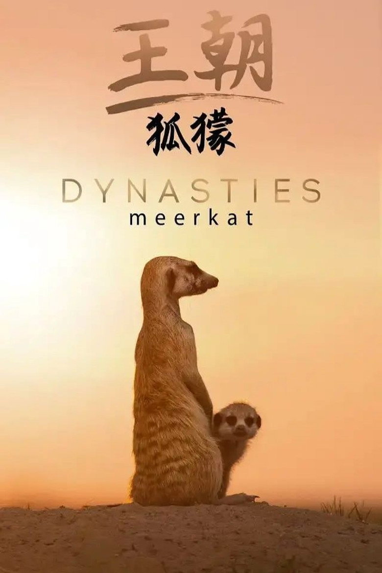 王朝:狐獴特辑 poster