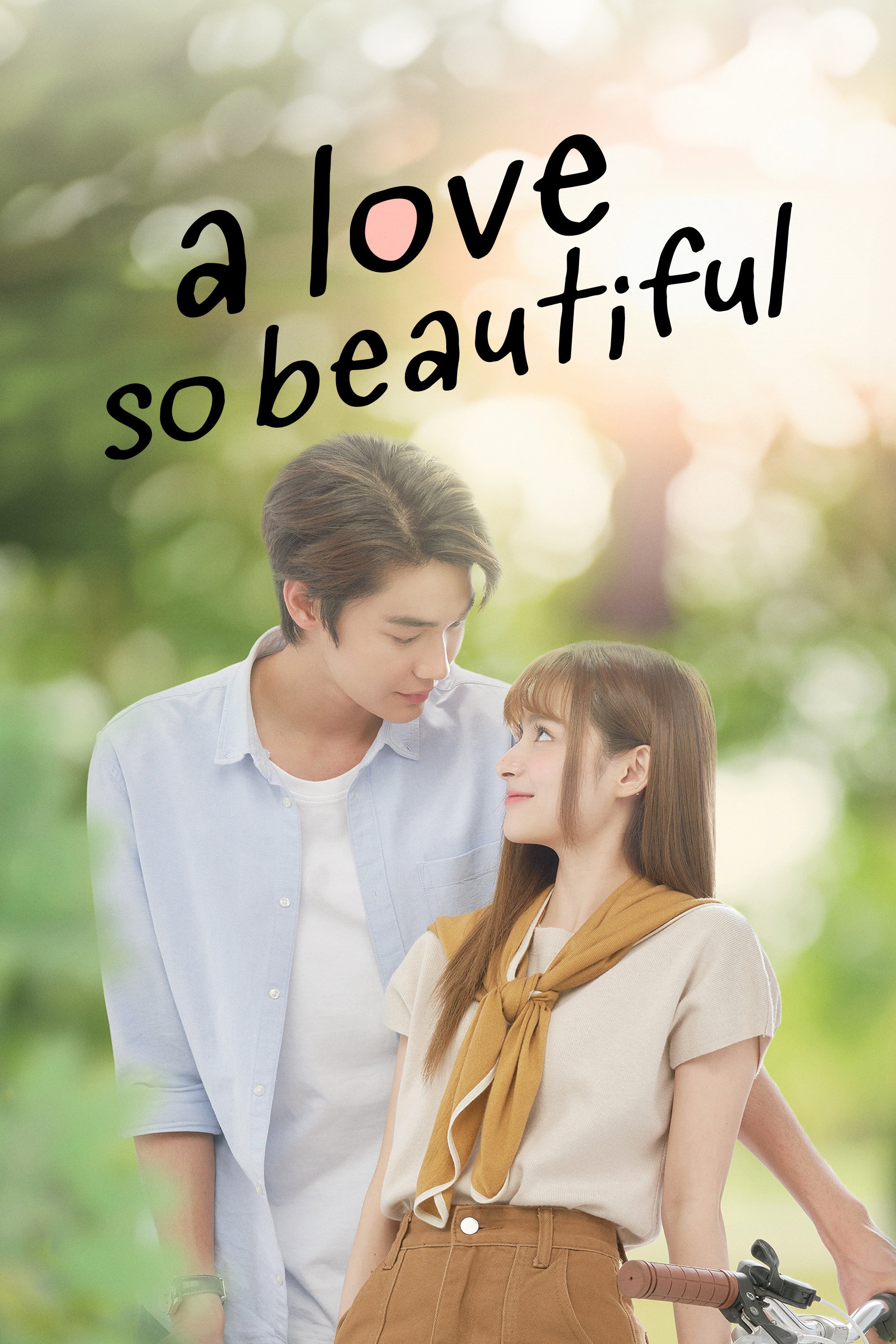 A Love So Beautiful poster