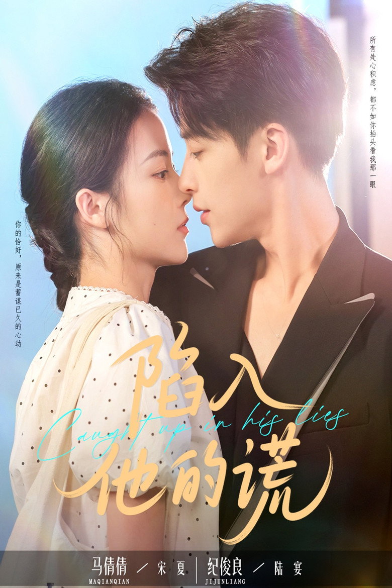 陷入他的谎 poster