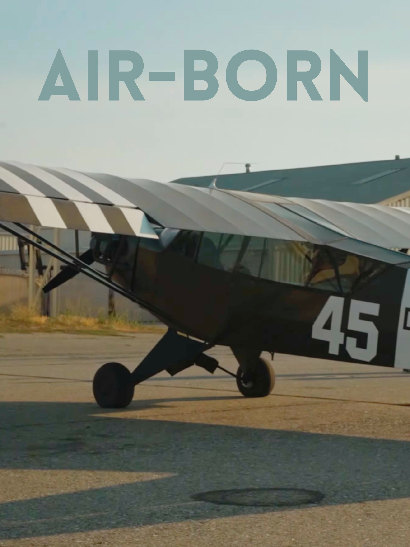 Air-Born poster