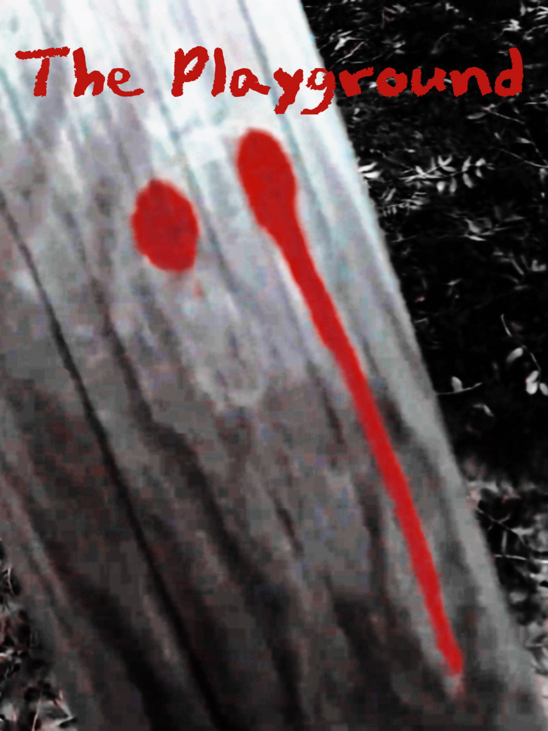 The Playground poster