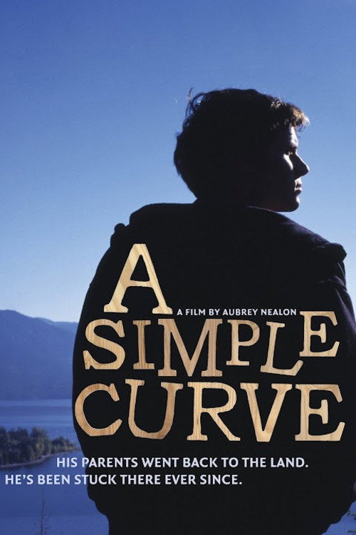 A Simple Curve poster
