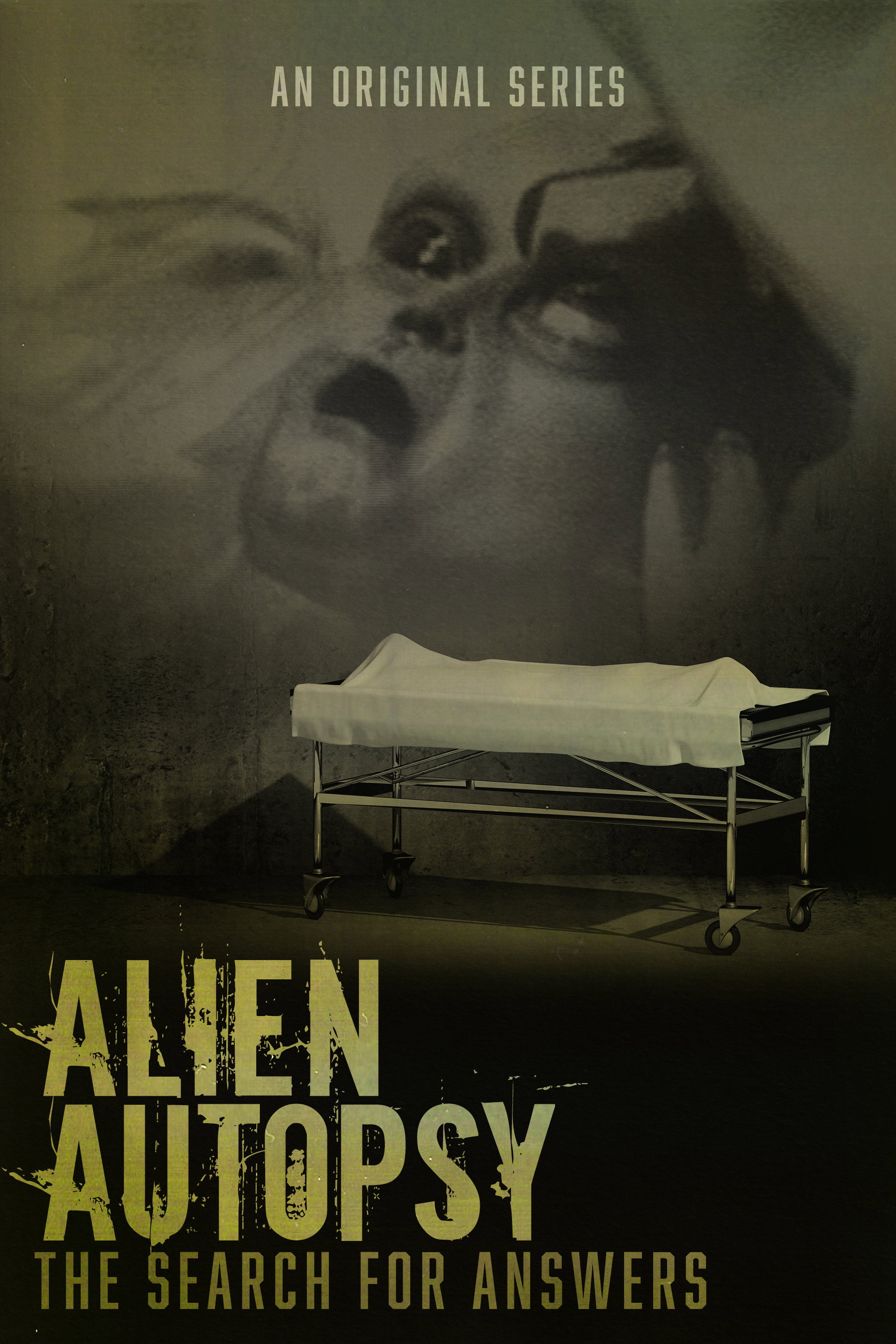 Alien Autopsy: The Search for Answers poster