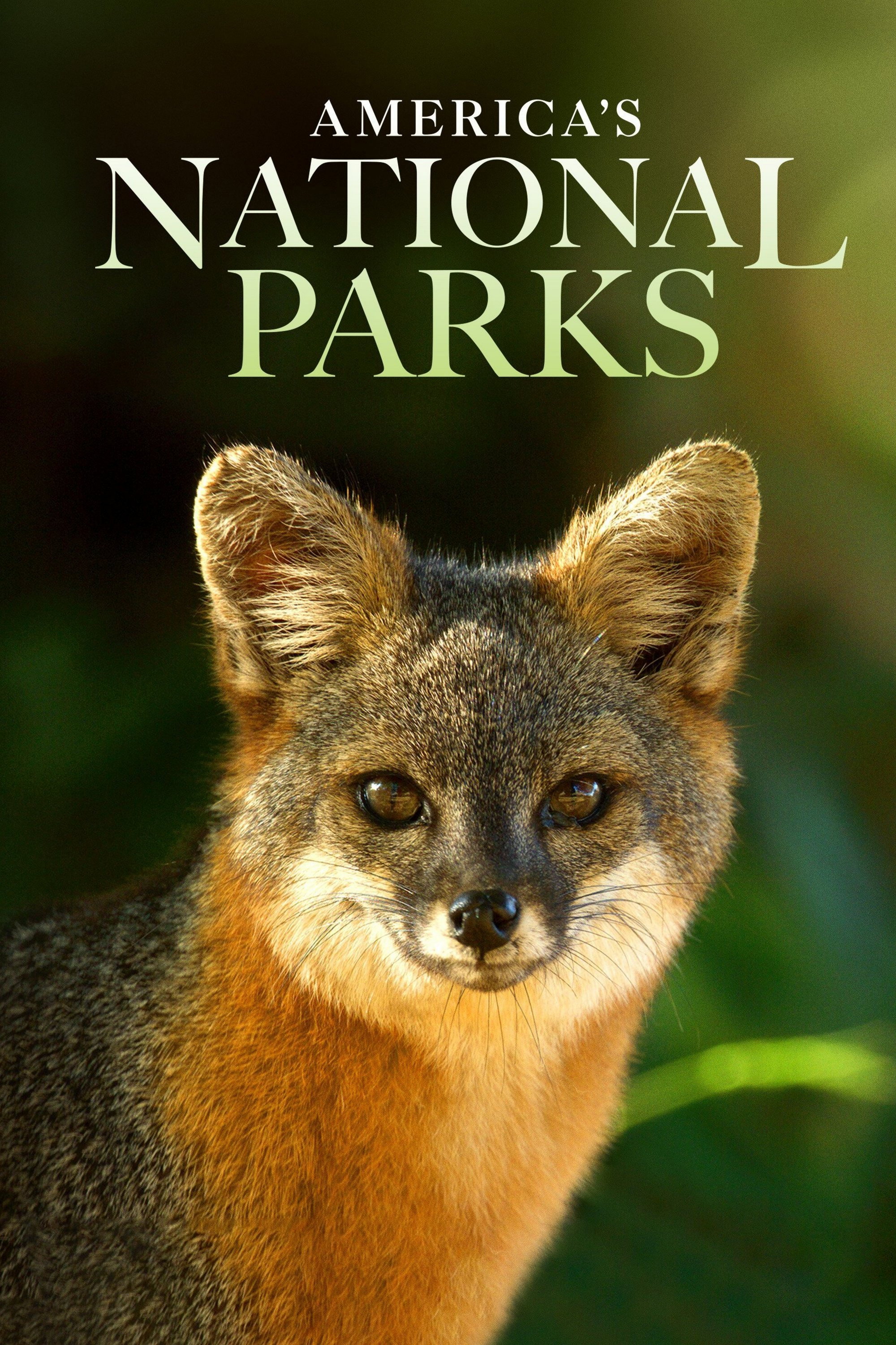America's National Parks poster