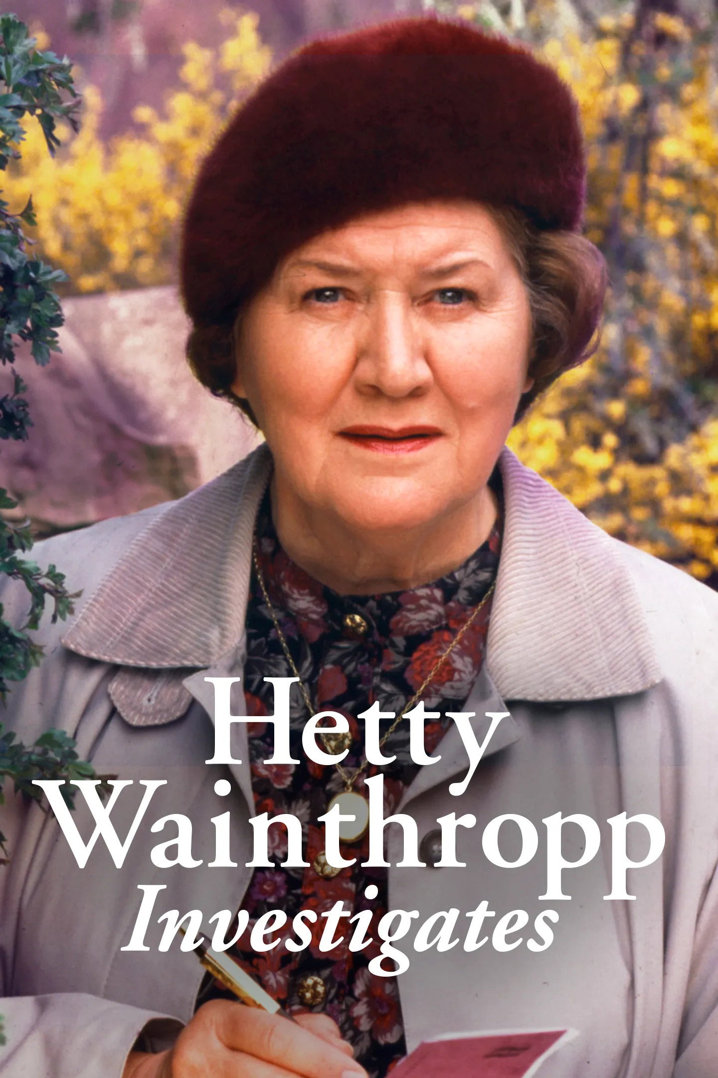 Hetty Wainthropp Investigates poster
