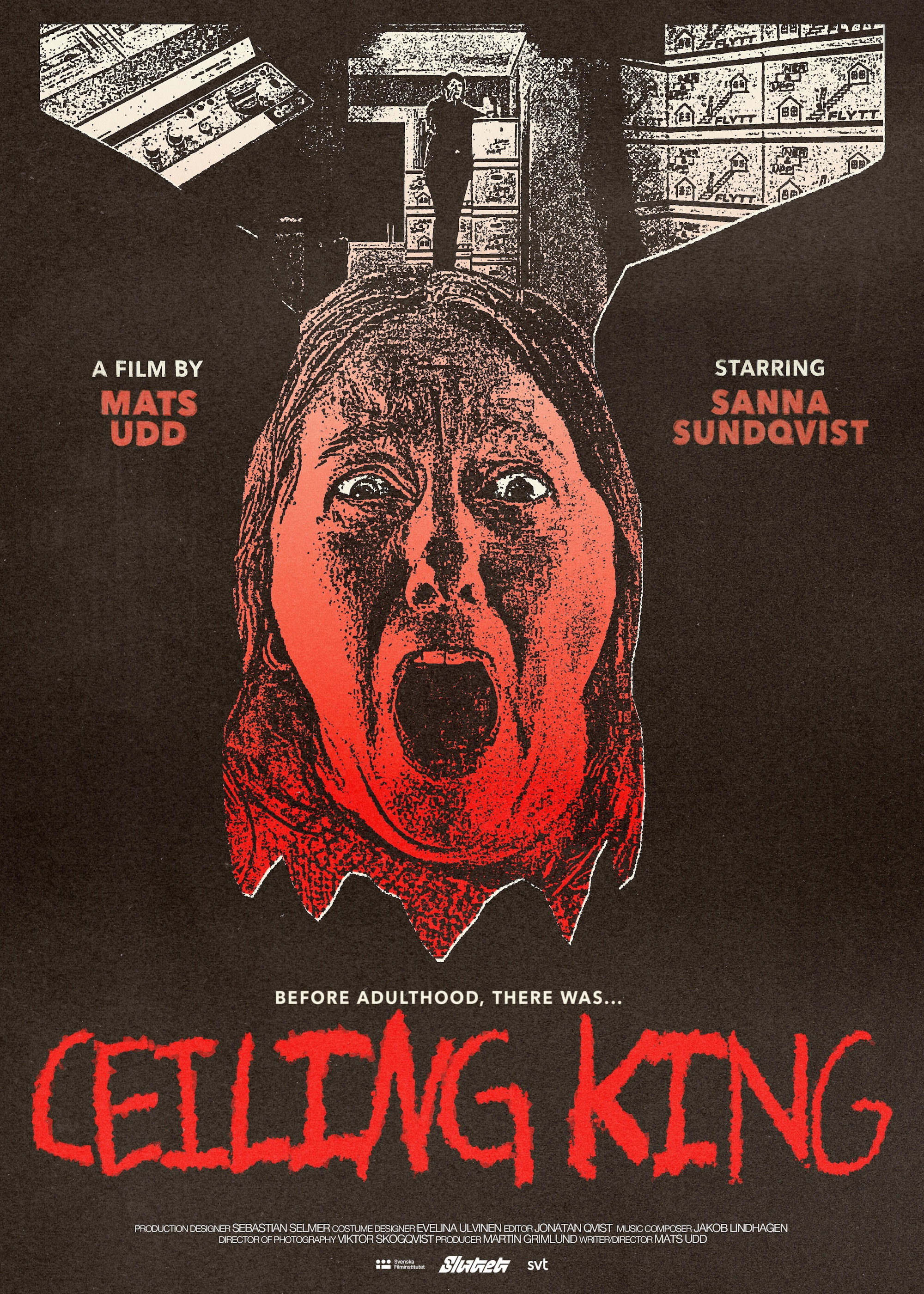 Ceiling King poster