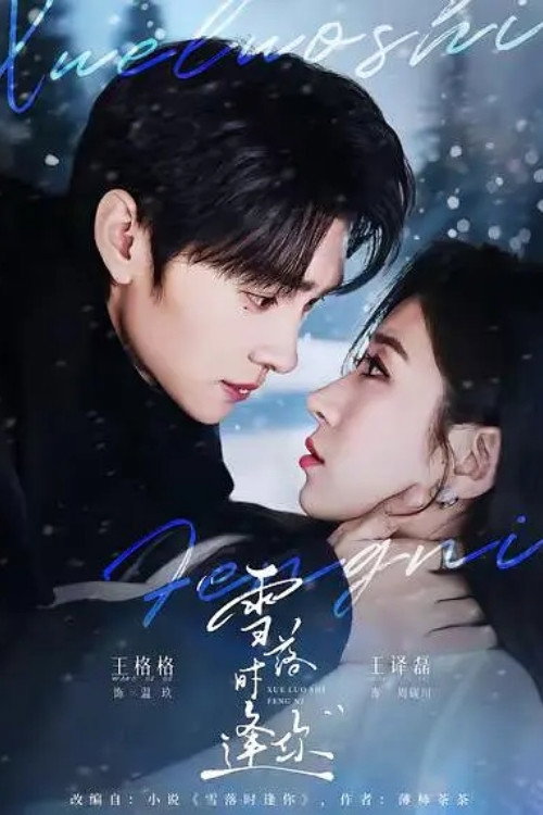 雪落时逢你 poster